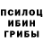 Галлюциногенные грибы GOLDEN TEACHER carriere10
