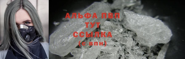 прущий лед Алзамай