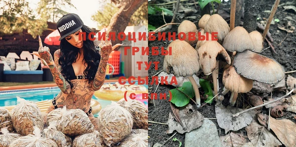 метадон Алексеевка