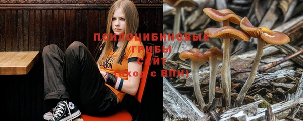 метадон Алексеевка